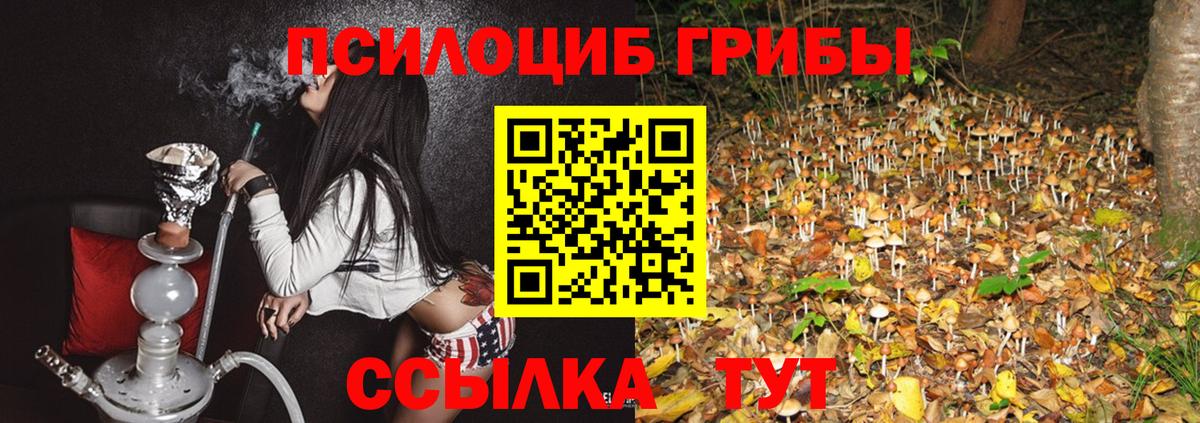 Галлюциногенные грибы GOLDEN TEACHER Корсаков