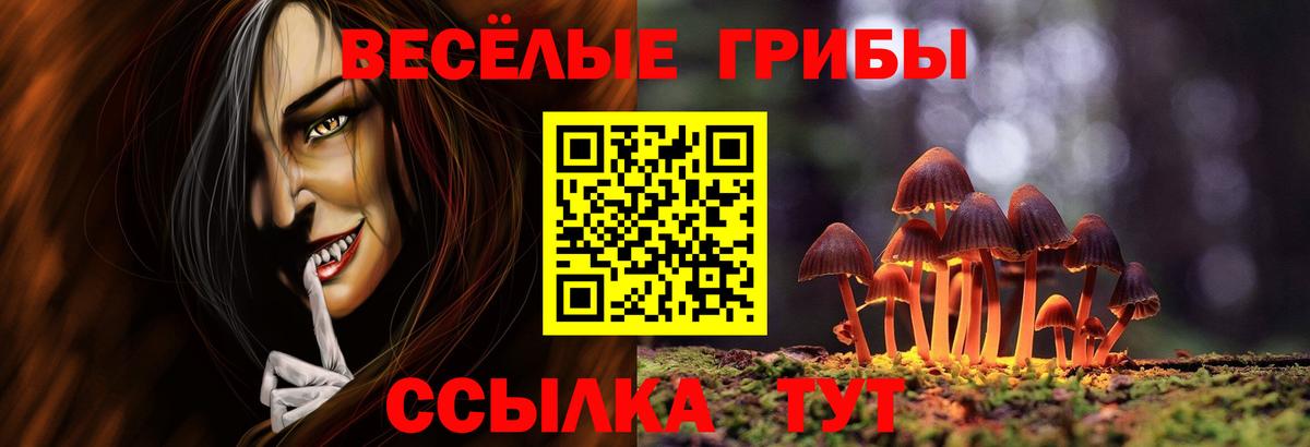Корсаков  хочу   Вход с VPN  Псилоцибиновые грибы Psilocybe  Галлюциногенные грибы Psilocybine cubensis 